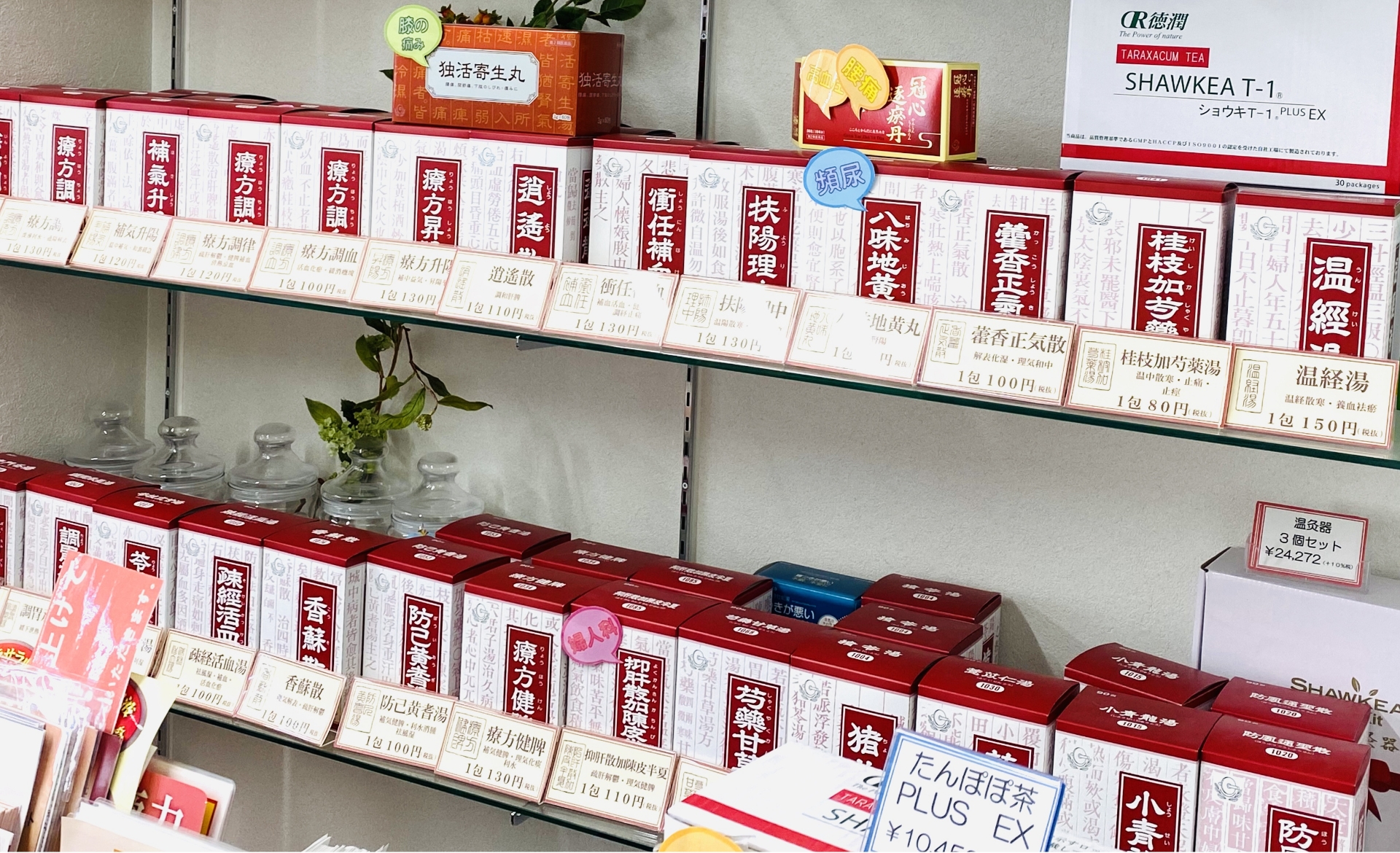 体質に合わせた漢方処方(2週間毎)